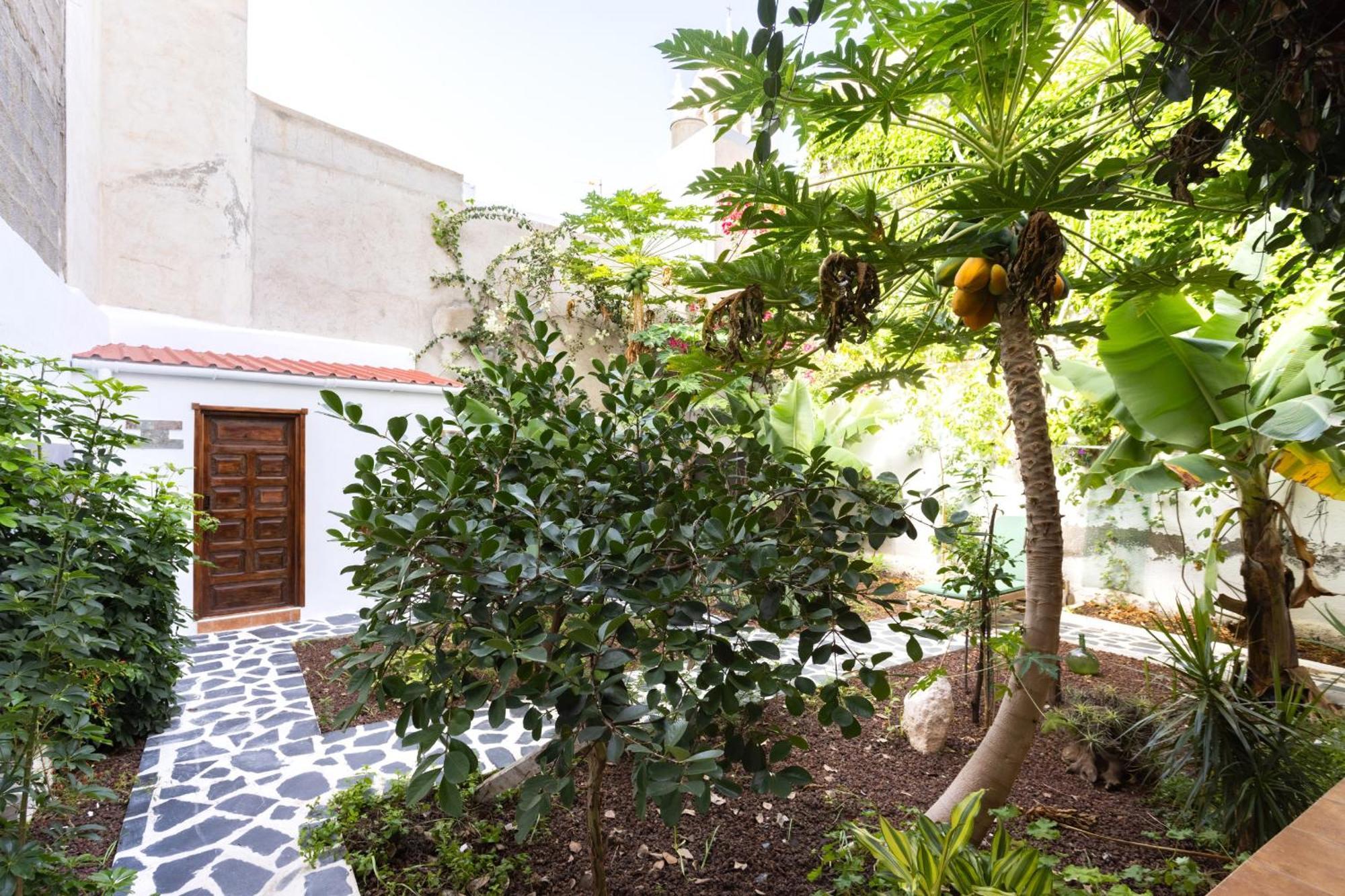 Garachico Center Secret Garden Villa Eksteriør bilde
